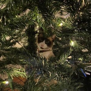 Meet your Posher, Kristy